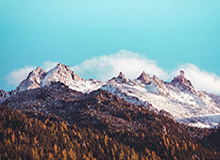 世界杯客户端更新下载-越南队战胜韩国队获U23男足亚洲杯季军